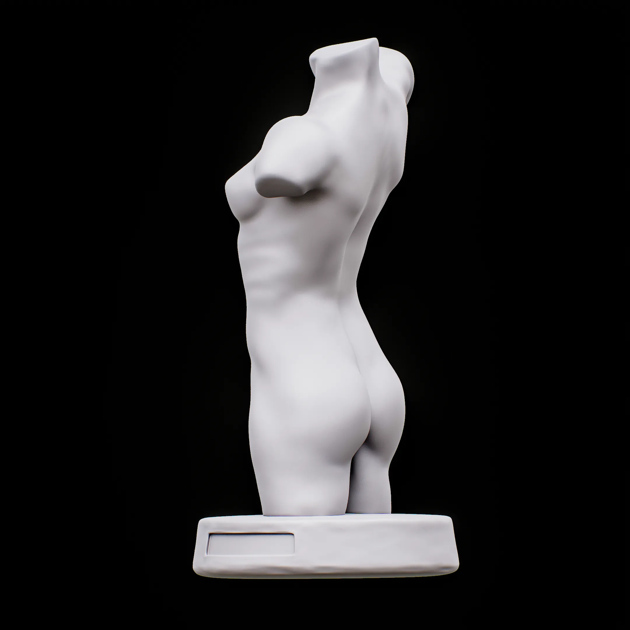 Female Torso for drawing art reference Muscle human Torso