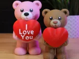 Bad Teddy-3