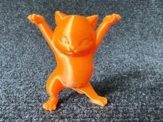 Cat Holder