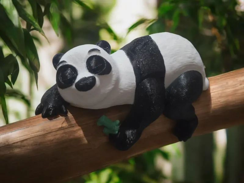 Shelf Sleeping Panda