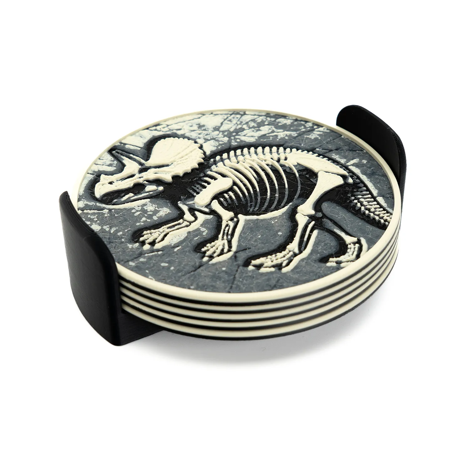 Dinosaur Fossil Coasters