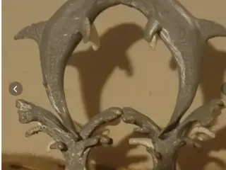 Dolphins