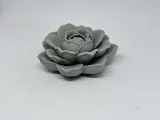 莲花-1