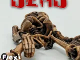 Flexi Skeleton-1