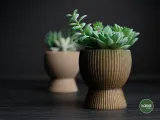 tundra · planter-7