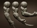 3 Wolverine arm poses-0