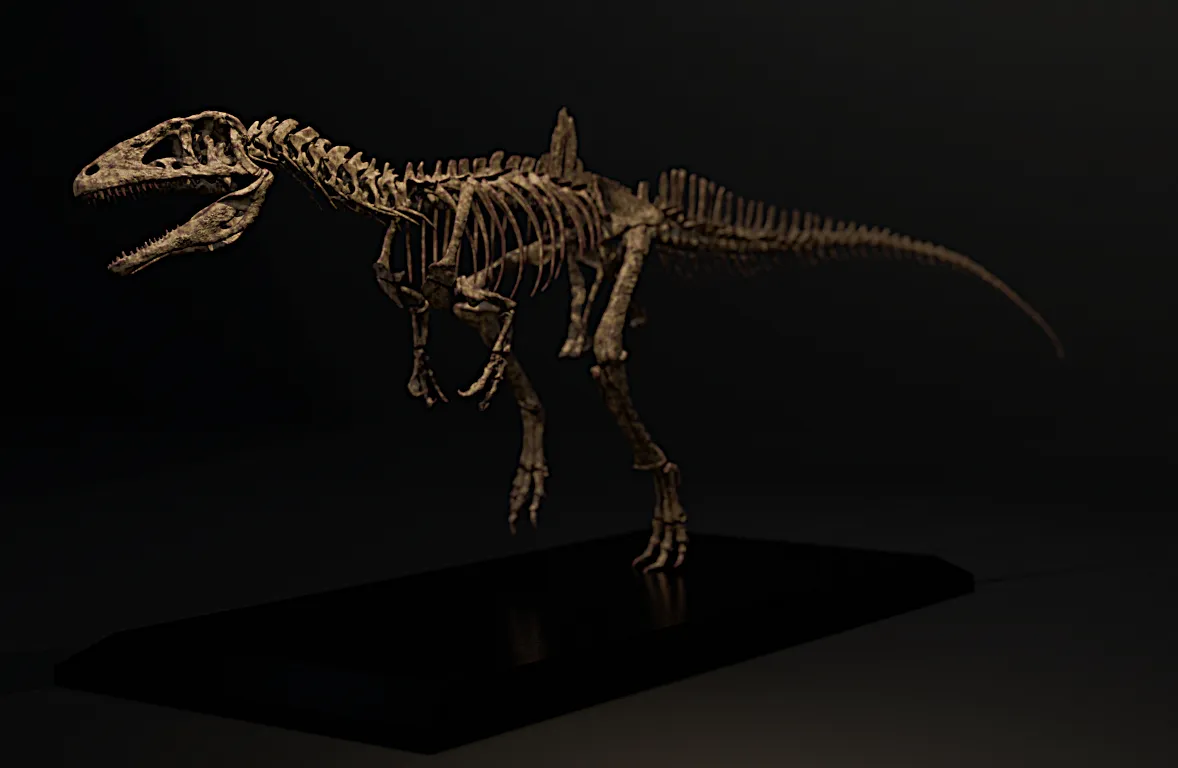 Concavenator corcovatus Skeleton