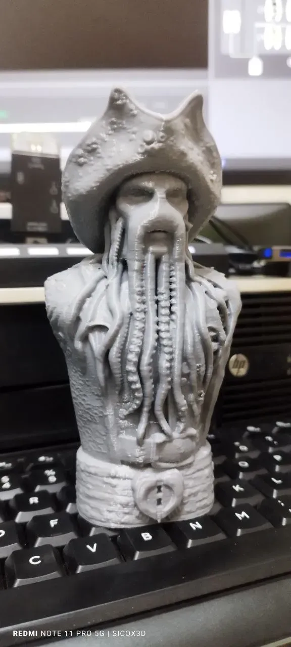 Davy-Jones Bust