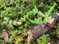 Strawberry Dragon-5