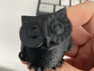 Owl Gufo