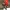 Red Hood - Gotham’s Vengeful Outlaw STL