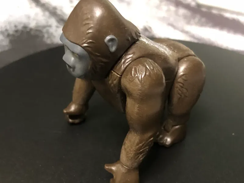 GORILLA SCAN