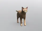 Cat-2