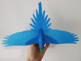 Flying Macaw-5