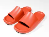 Flip flops-1