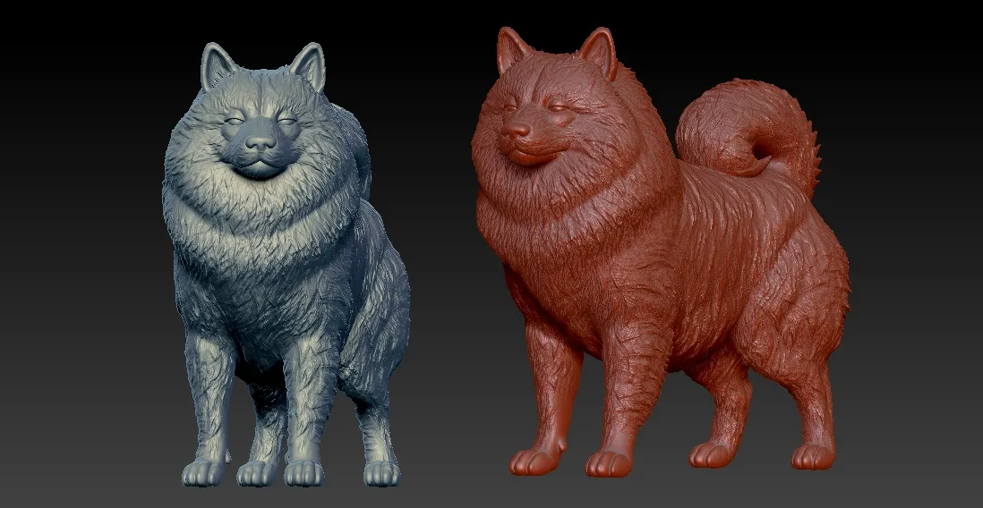 Keeshond Dog model - Dutch Barge Dog statue - 3D print