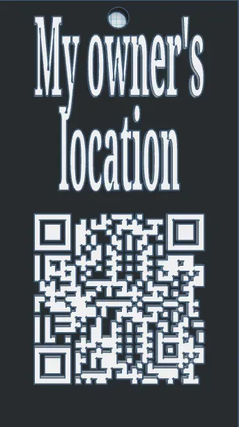 owner's location