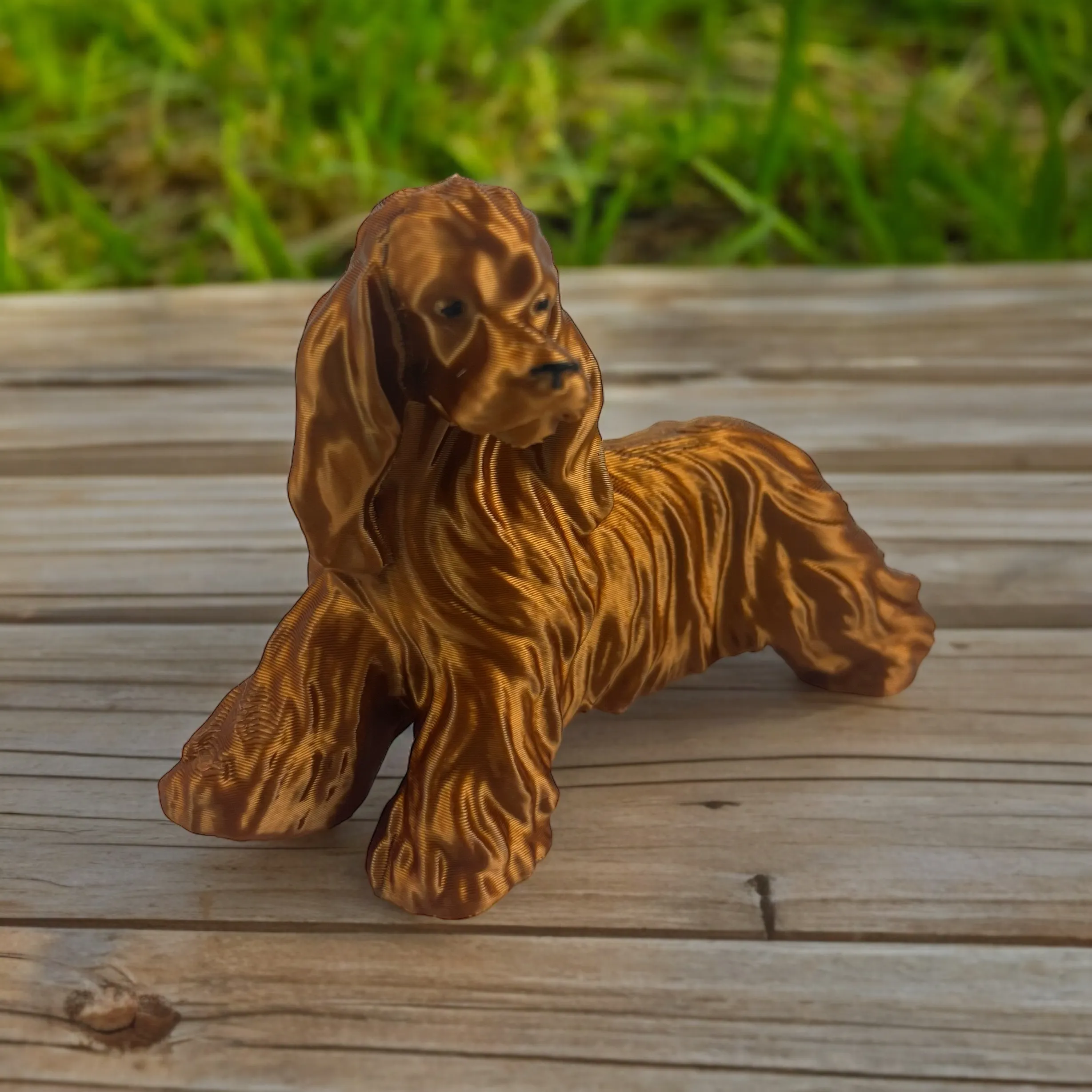 Cocker Spaniel Big