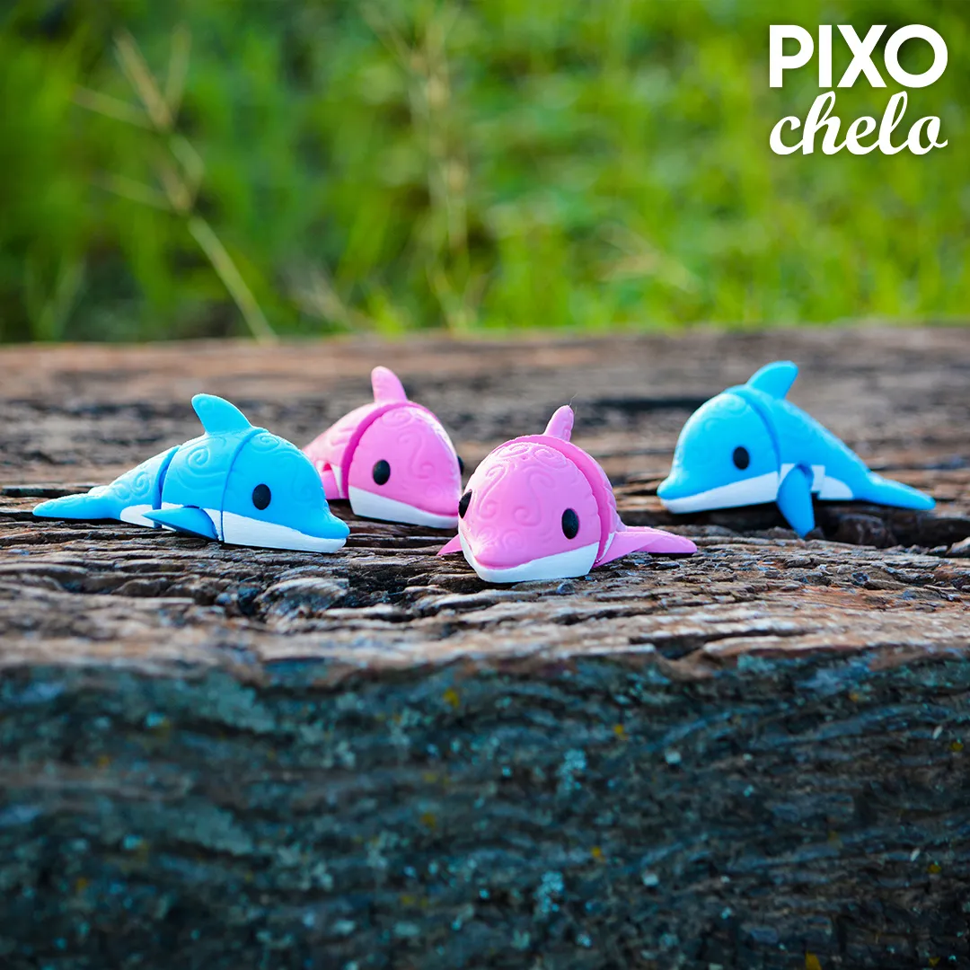 Super Sweet Flexi Dolphin🐬​🐬​​