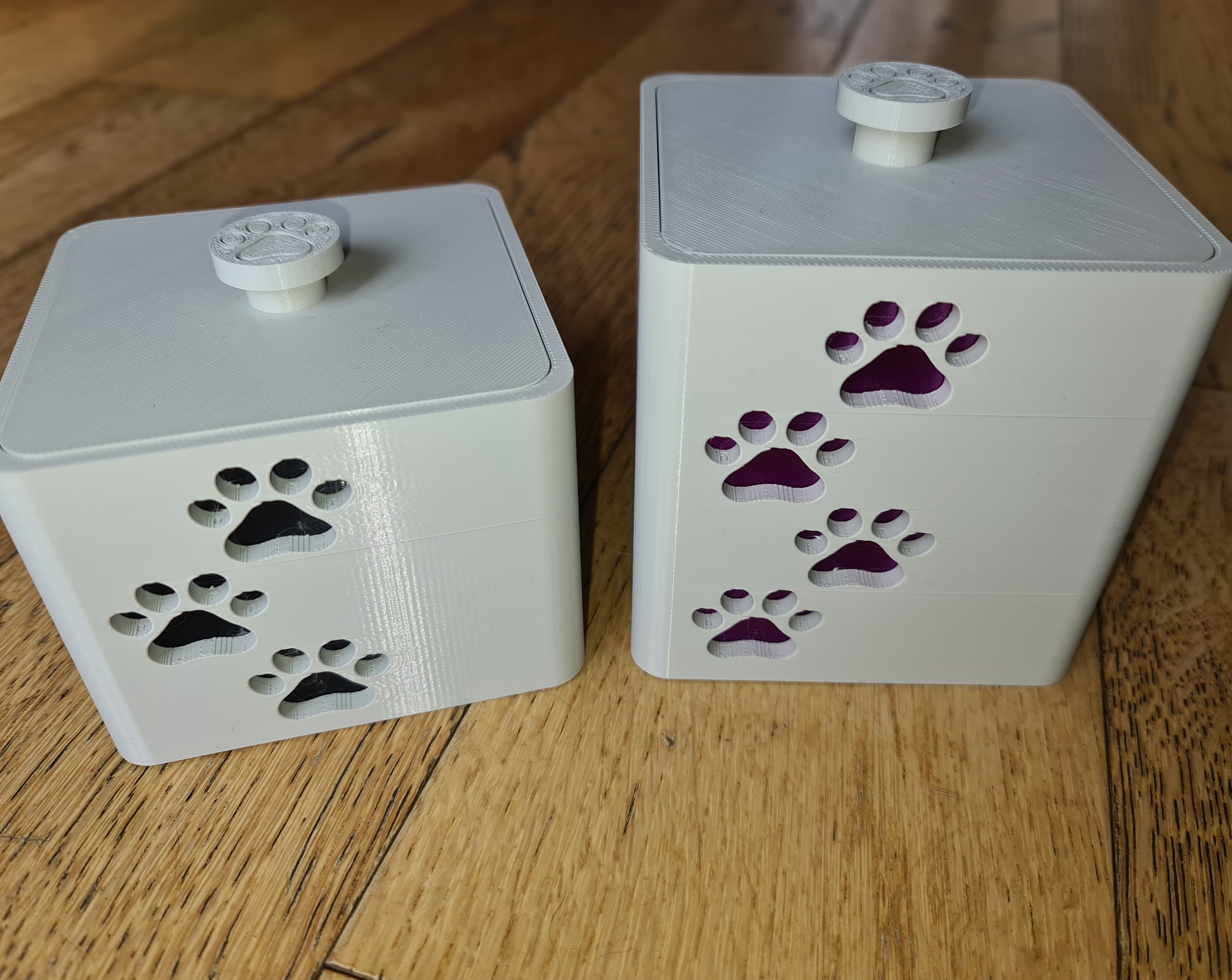 Dog Cat Pet Paw Print Box storage cube with colour insert 3D models