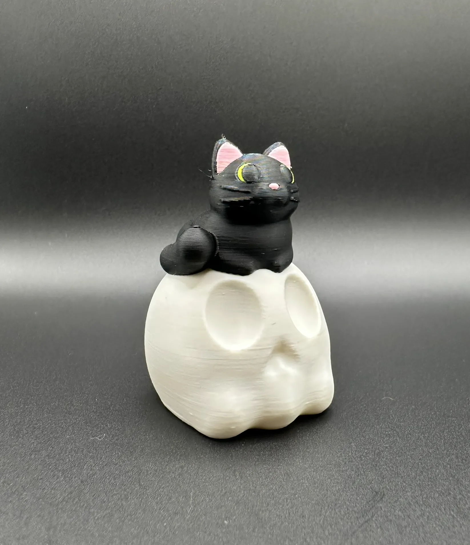 Black Cat on Skull