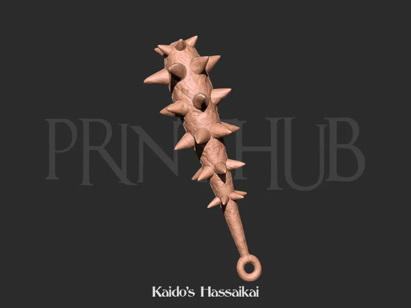 One Piece - Kaido Hassaikai for cosplay