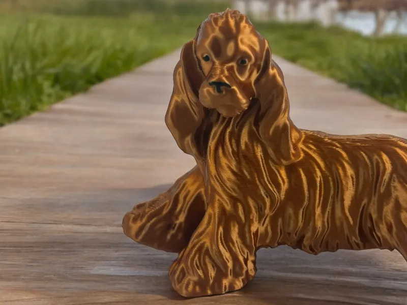 Cocker Spaniel Big