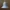 Flathead Screw Lamp Shade