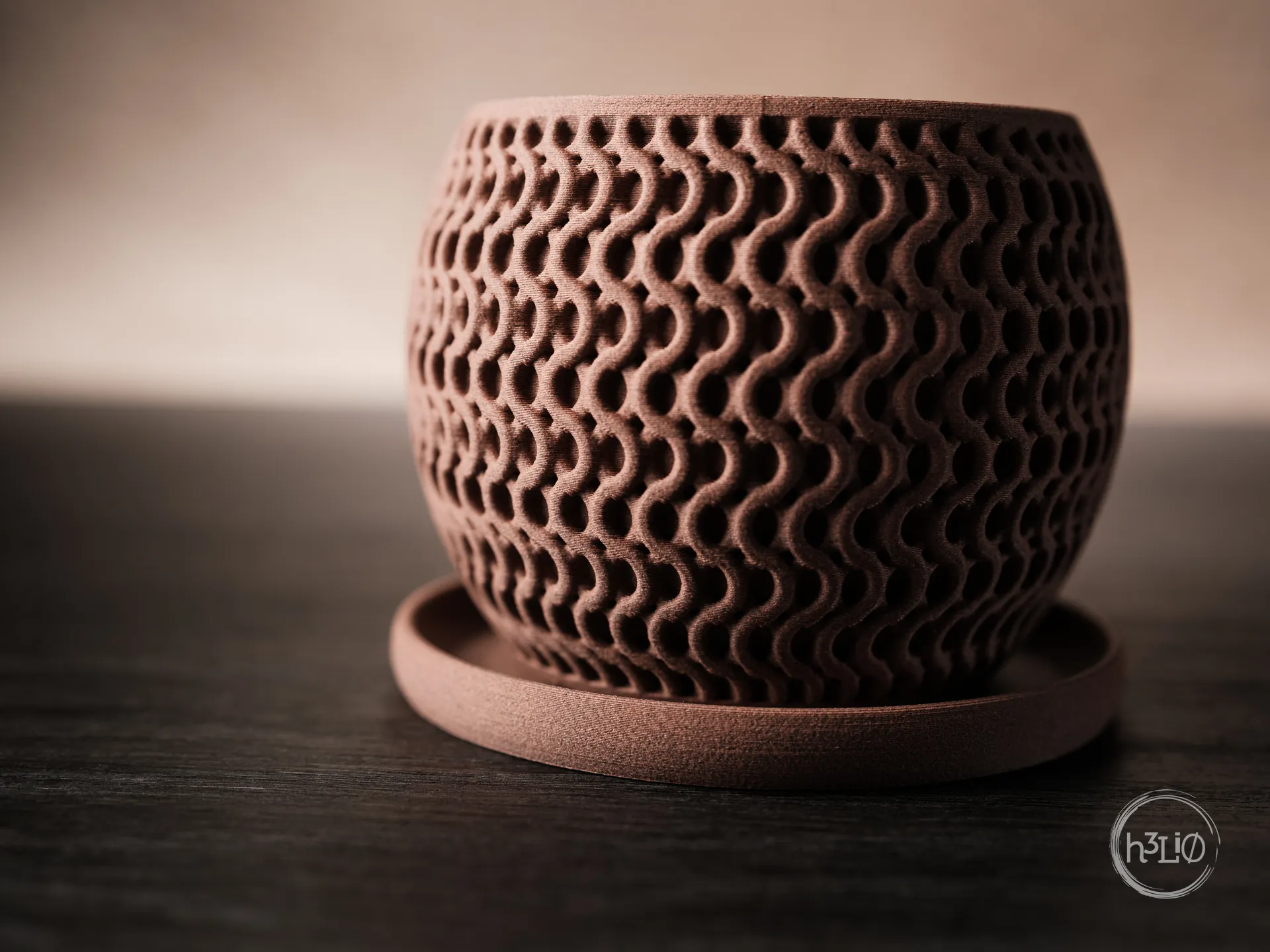 echo · planter