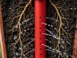 3D Root Watering Spike 15cm - 360° Irrigation System-1