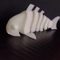 Articulated Goldfish Carp Koi-0
