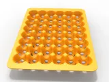 Egg Tray-4