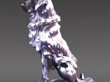 Dog, Shadow-3