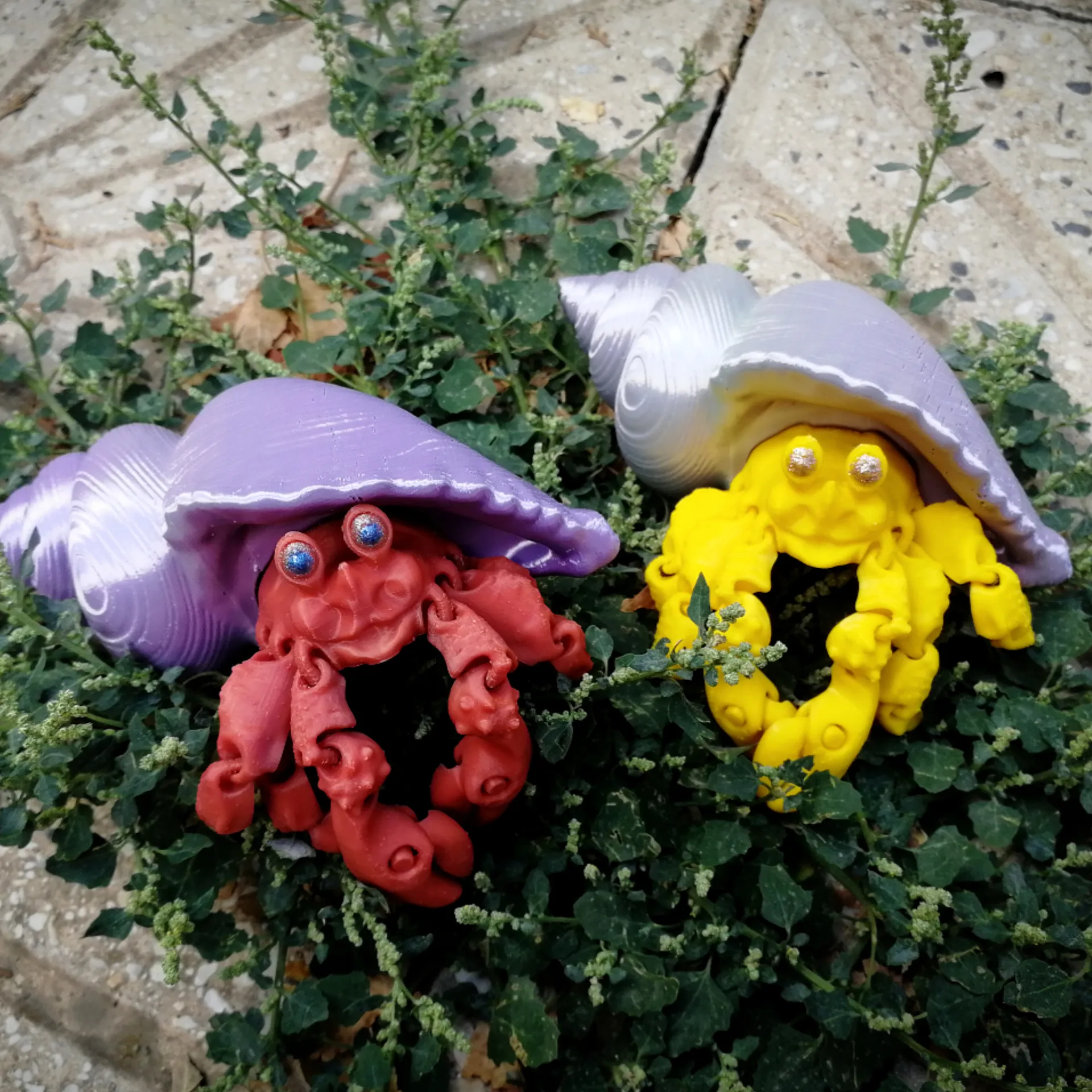 Hermit crab (cute, semi-realistic)