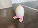 Gambe di coniglio per i bambini dell'est-0