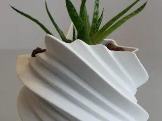 Pot Interior Decor N