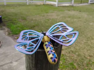 flexi moth 