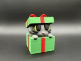 Gift Box Kitty-1