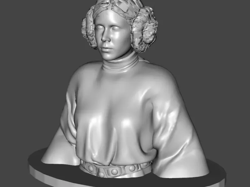Leia Bust Starwars