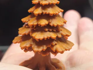 Pine Tree