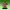 Time Wizard Figure/YU-GI-OH!