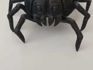 Pumpkin spider