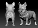 Tailless Swedish Vallhund Dog model - 3D print-2