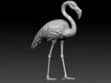 Crane model - flamingos urban vibes-2