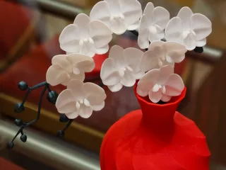Florero davincci