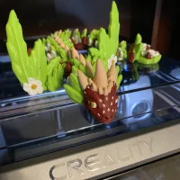 Strawberry Dragon-6
