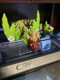 Strawberry Dragon-6