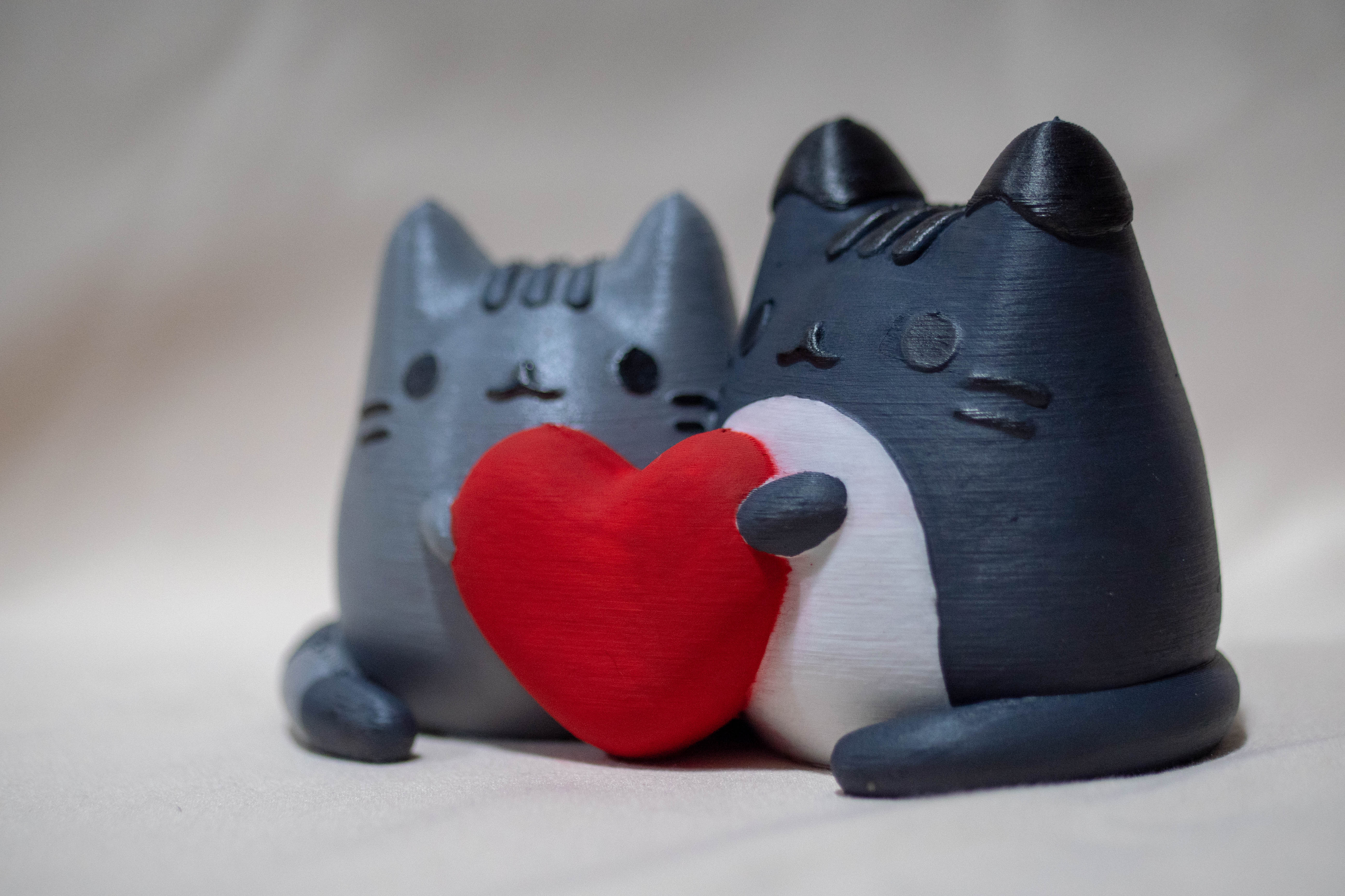 Pusheen X Tommy: a Valentine Model