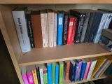 Secret Book Storage-2