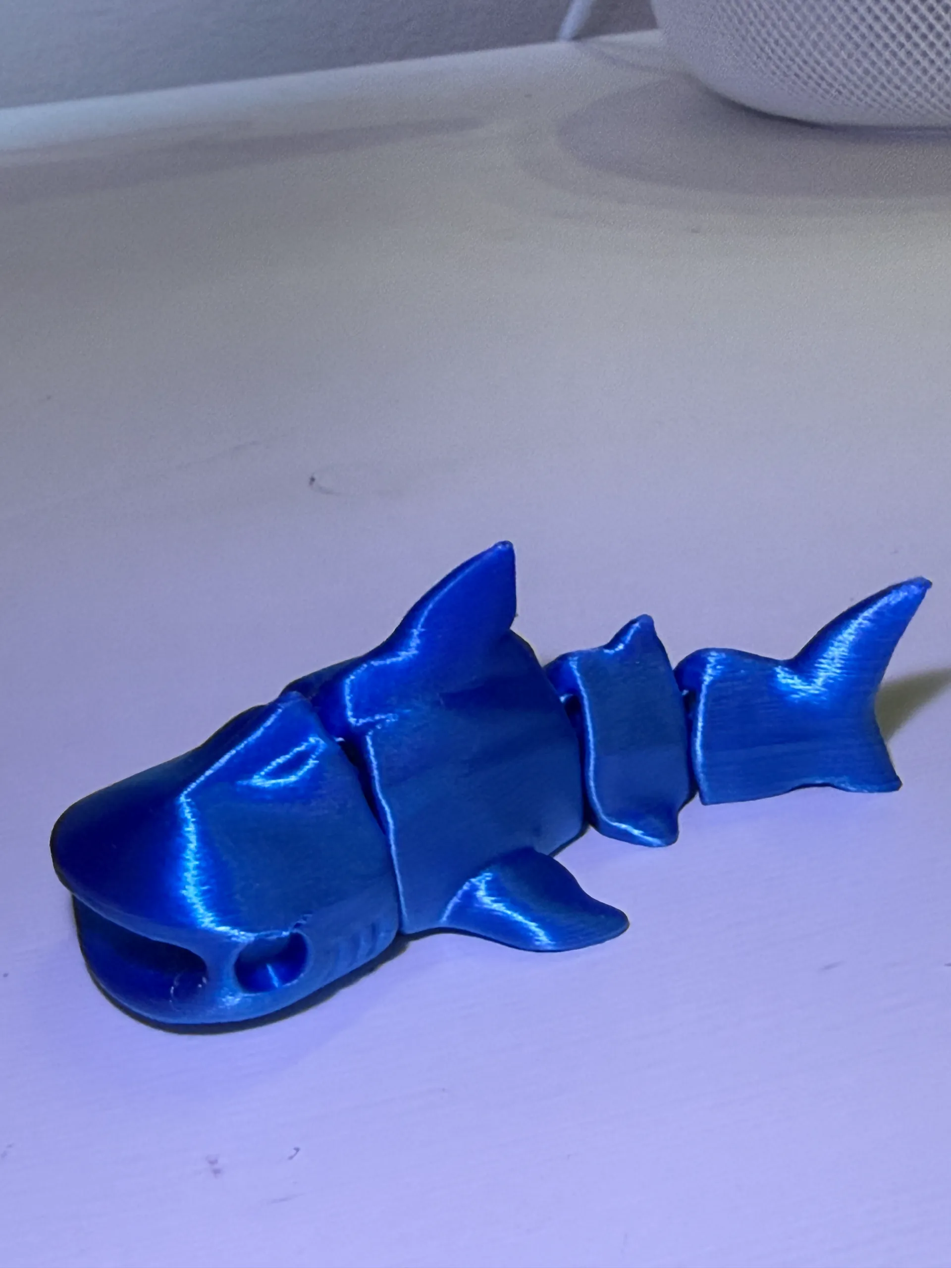 Shark-1